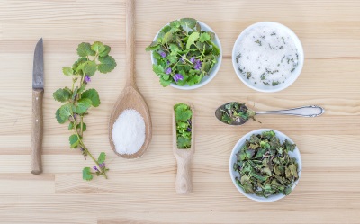 Kosmetik aus Pflanzen selbst herstellen und Aromatherapie Vertiefung